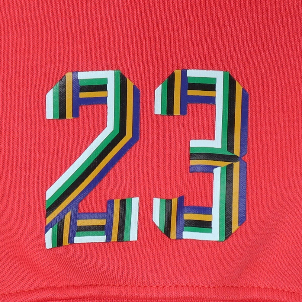 Толстовка Jordan Logo, DN1471-631