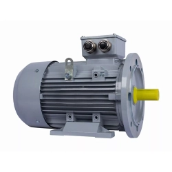 Электродвигатель ESQ PR 100 LB4-SDN-Б1-S12-IE3 3/1500 IMB35