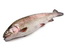 Форель Карельская охлаждённая~1.5кг