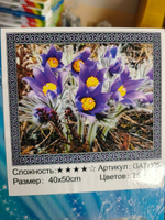 Алмазная мозайка