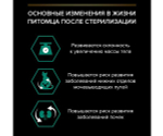 Влажный корм Pro Plan для кастрированных котов и стерилизованных кошек океаническая рыба в соусе sterilised oceanfish in gravy 85г