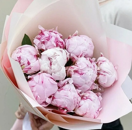 9 Свежих пионов