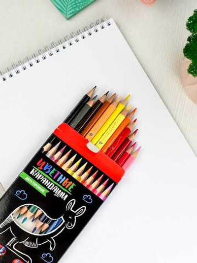 Набор цветных карандашей деревянных, КЕНГУРУ, 24 цв.
