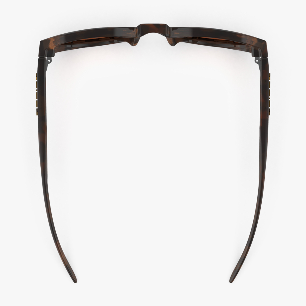 Спортивные очки Scicon Protox 2.0 Dark Havana Gloss Brown