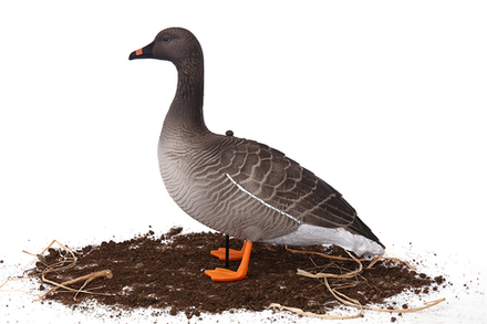 Гусь гуменник Softplast 3D мод. G10S-3D