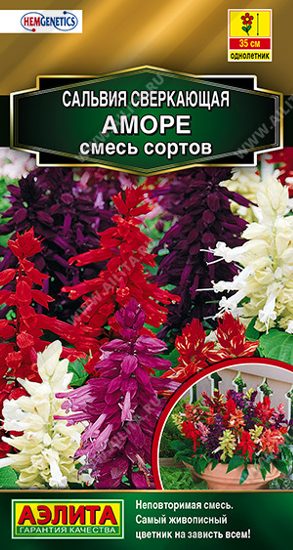 Сальвия сверкающая Аморе, смесь сортов