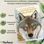 Лесные животные в натуральную величину