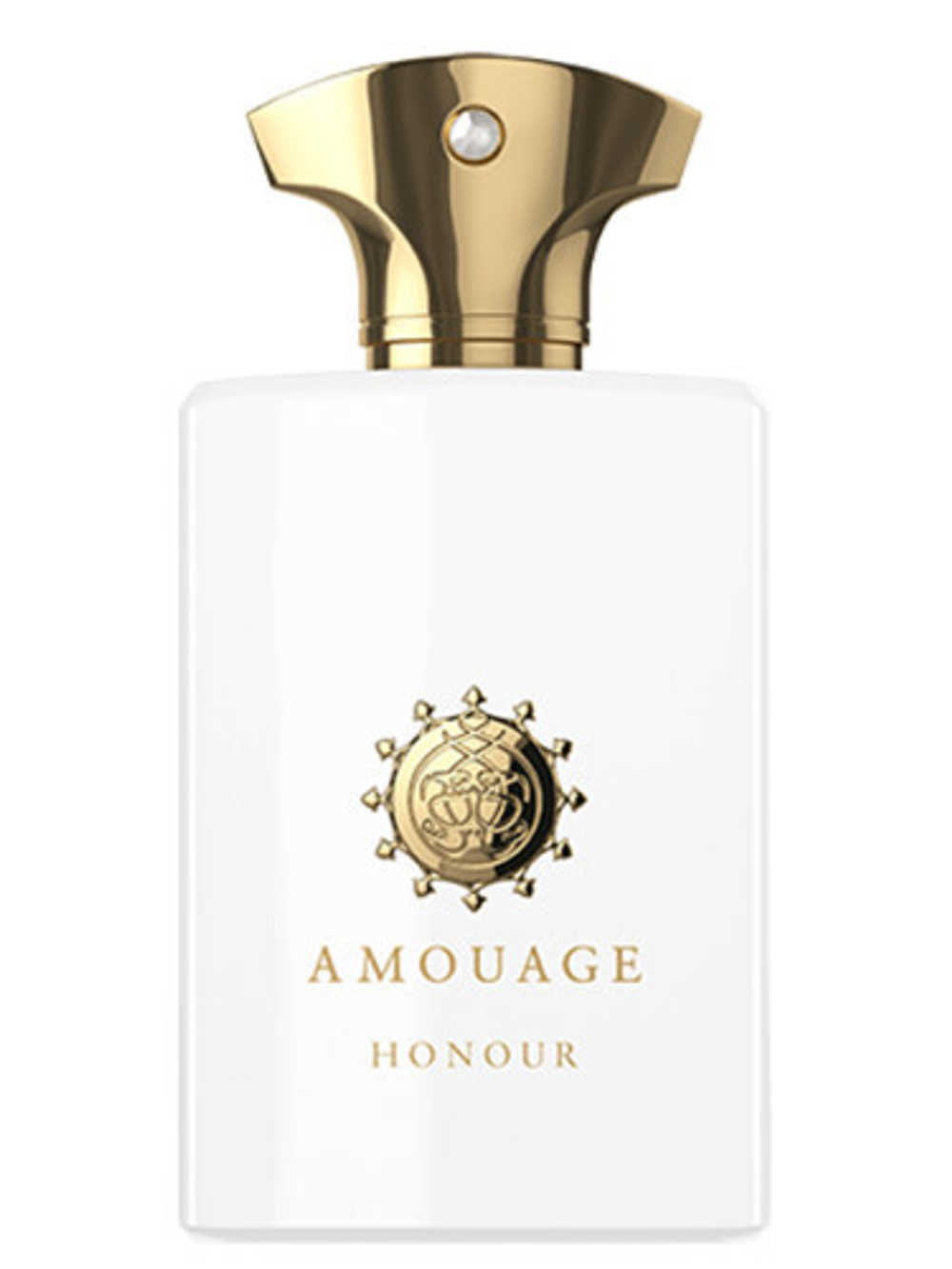 AMOUAGE Honour For Men, парфюмерная вода 50 ml