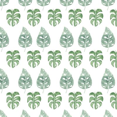 Тропические листья монстера