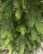 Искусственная елка на ножке «Николь» (Литая хвоя) 180 см / 1,8 м