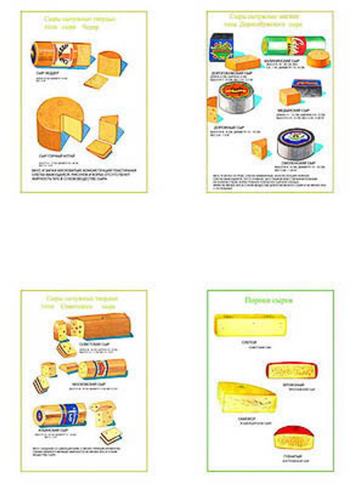 Плакаты ПРОФТЕХ &quot;Ассортимент сычужных сыров&quot; (7 пл, винил, 70х100)