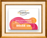 Рама 50x55 для картин и фотографий RP0921550-13