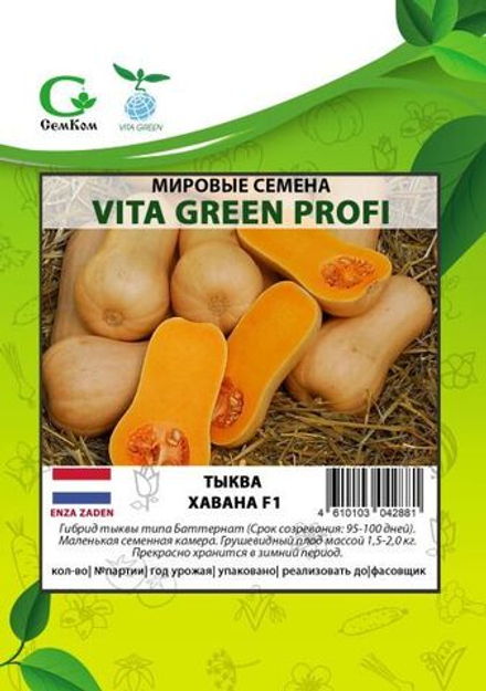 Тыква Хавана F1 (20шт) Витагрин Профи