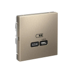 ARTGALLERY USB РОЗЕТКА тип-С 65Вт высокоскор.заряд. QC, PD, механизм, ШАМПАНЬ