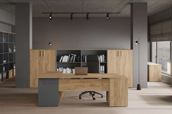 Кабинет руководителя Зион Лайт