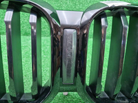 Решетка радиатора BMW X3 G01 (2021-2024)