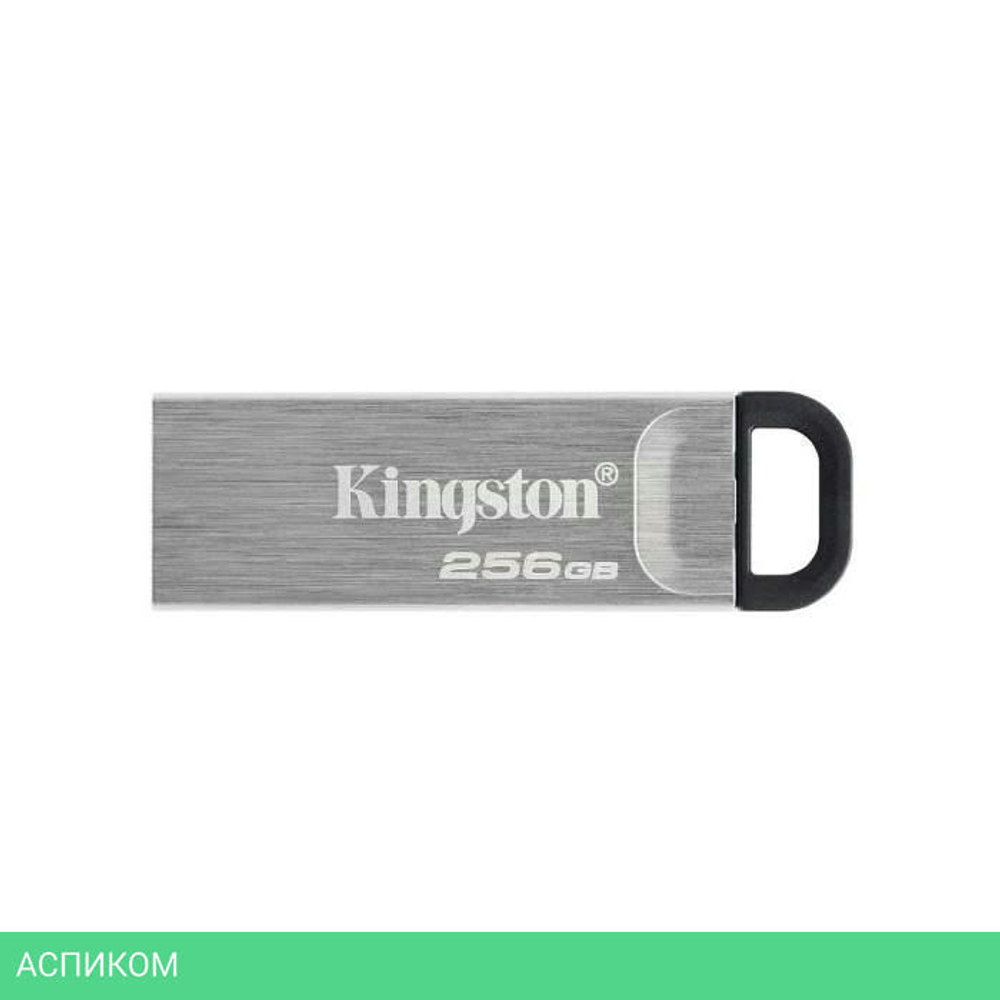 USB Flash-накопитель Kingston DataTraveler Kyson 256GB металл серебристый (DTKN/256GB)