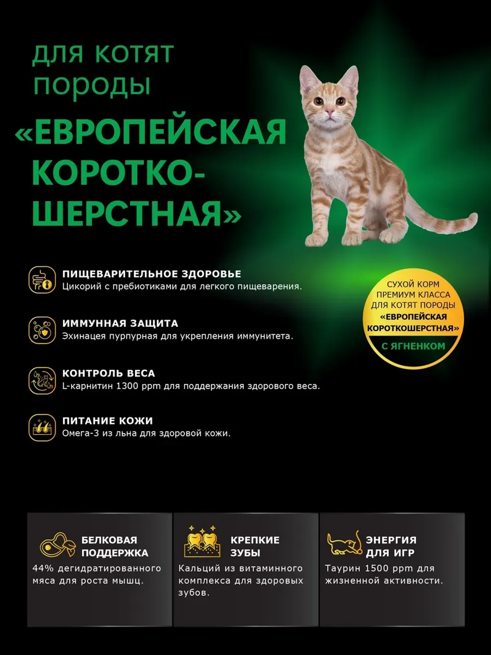 Корм для котят Европейская короткошёрстная, ягненок 400 гр