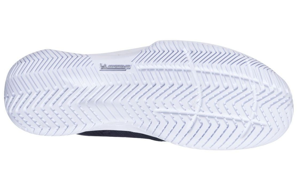 Мужские кроссовки теннисные Babolat SFX Evo All Court Men - черный