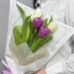 5 тюльпанов микс в упаковке