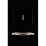 Подвесная светодиодная люстра Aployt Nisia APL.025.03.60