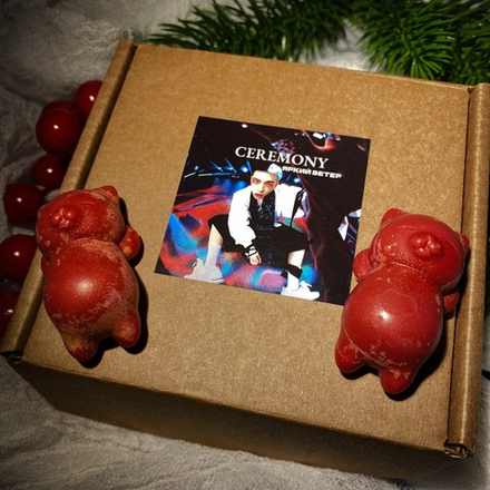 Мелтс котики Stray Kids - "Ceremony"