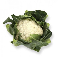 Шамборд F1 семена капусты цветной (Rijk Zwaan / Райк Цваан)