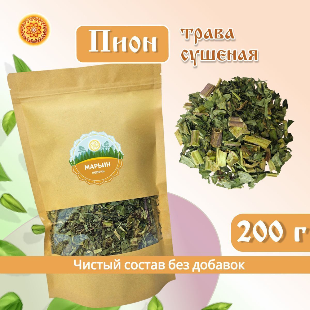 Пион уклоняющийся трава сушеная.