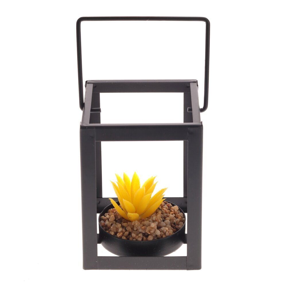 GAEM Цветочная композиция "Суккулент", L8,5 W8,5 H10,5 см