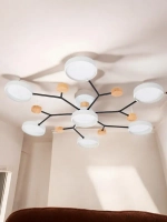 Люстра потолочная светодиодная большая Wrobehouse Rounds