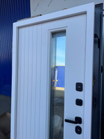 Дверь входная терма Радео-2