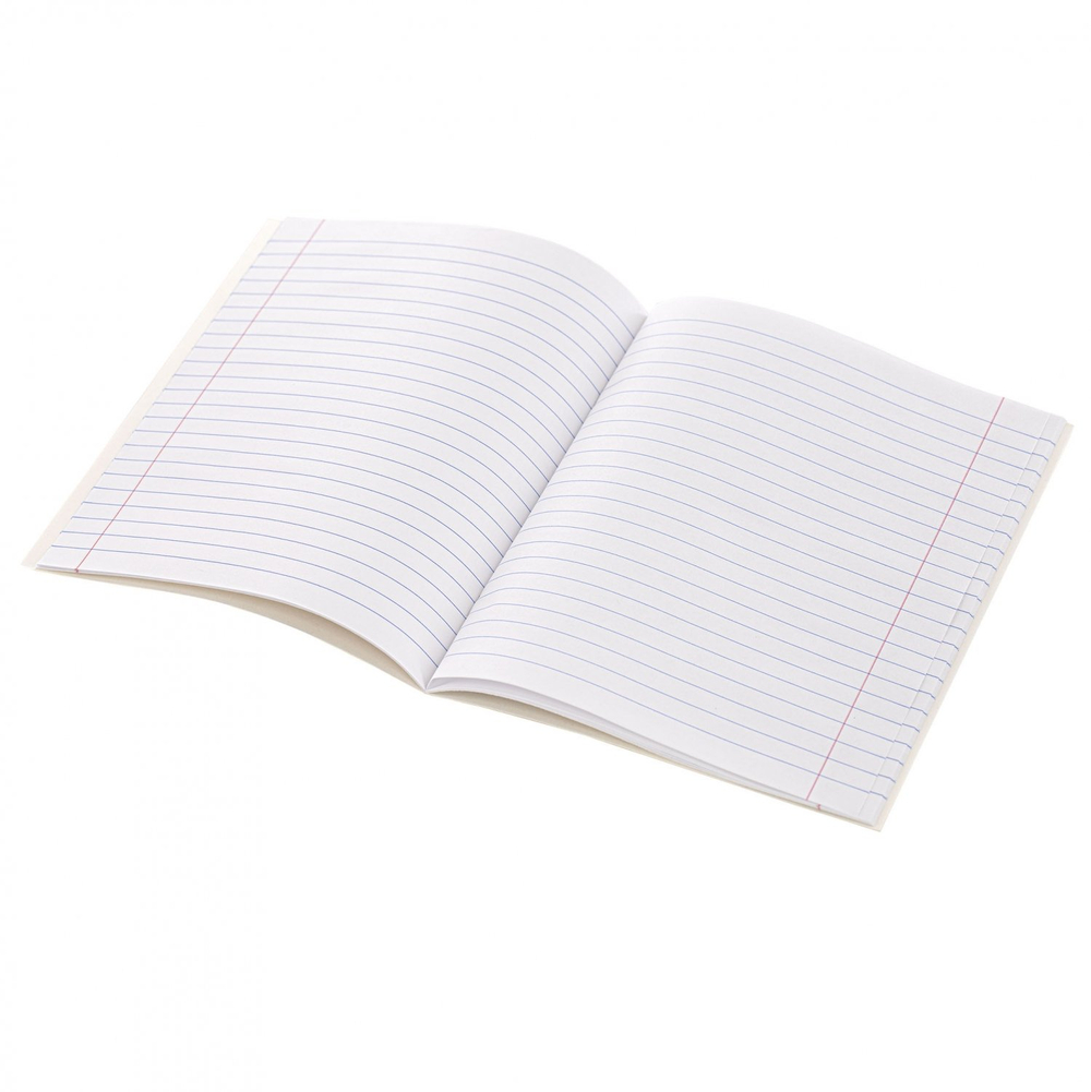 Тетрадь 24л., линия, Alingar, скрепка, блок офсет, 100% белизна, мелованный картон (стандарт), "Mix Bright", 5 дизайнов в пленке т/у