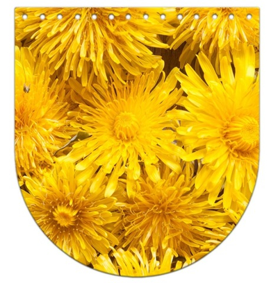 Клапан 22*20см Злата