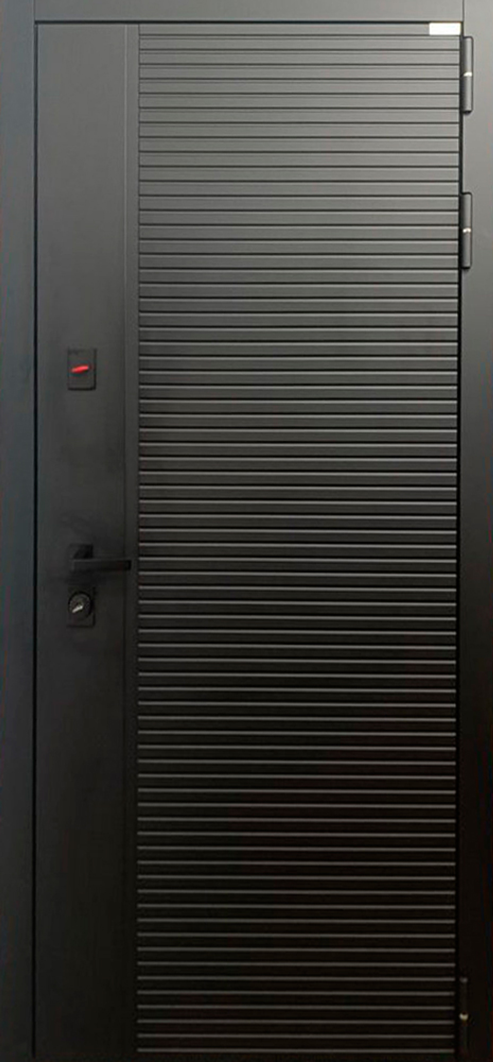 Стальная дверь "Агат" с зеркалом. Заказная модель.