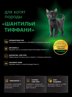 Корм для котят породы Шантильи Тиффани, с ягненком, 400 гр