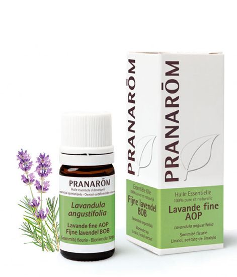 Натуральное эфирное масло Лаванда настоящая (fine АОP), Pranarom