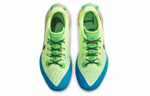 Кроссовки Nike Air Zoom Terra Kiger 6