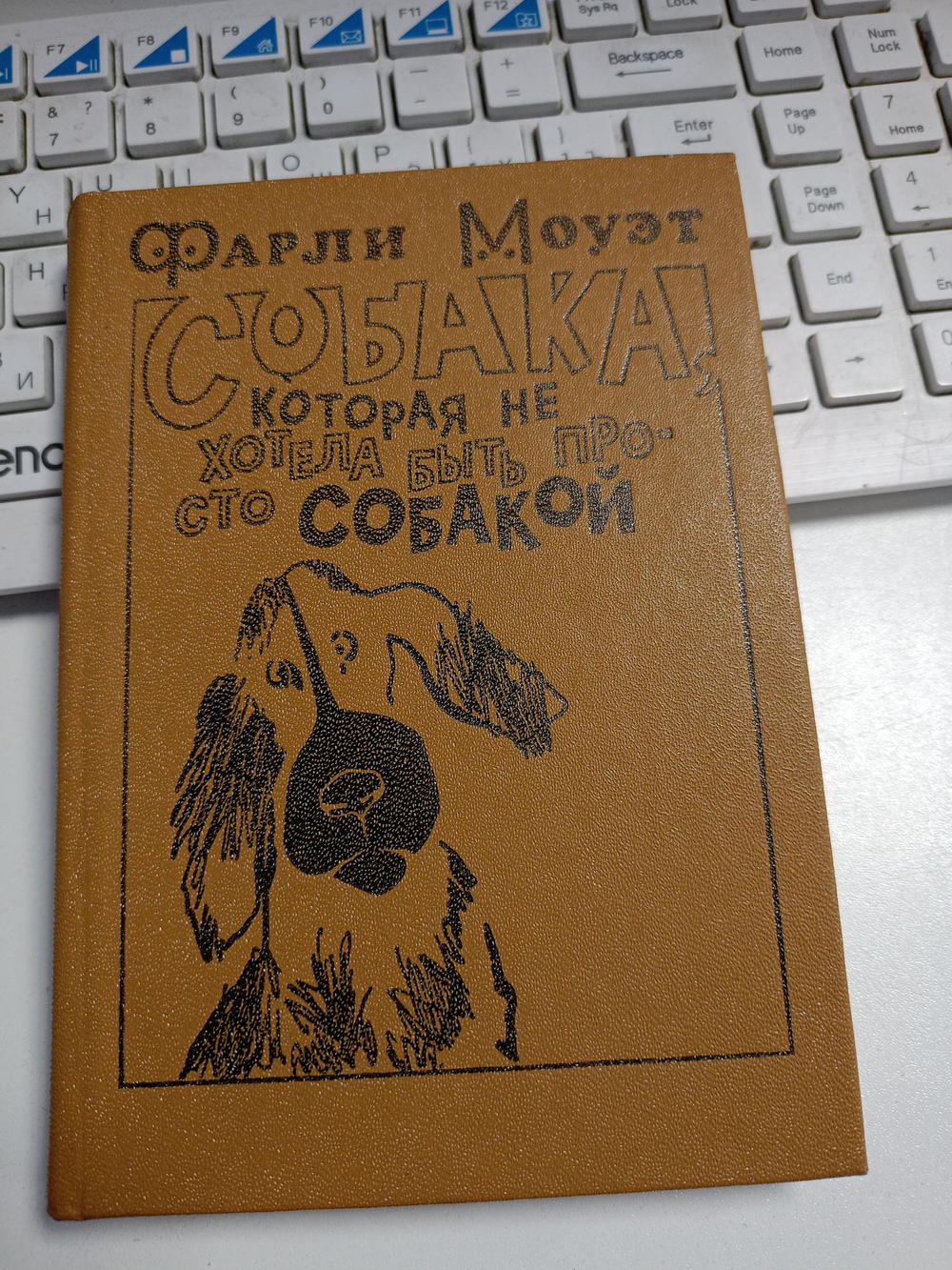 Собака, которая не хотела быть просто собакой