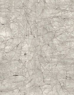 New Spirit панно