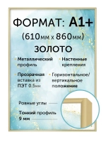 Металлическая рамка для постера 61х86 см