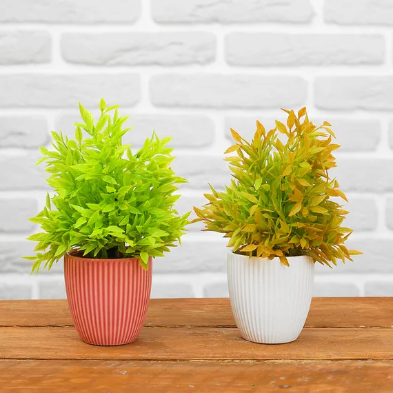 Бонсай &quot;Кустовой&quot; 7*18 см  МИКС