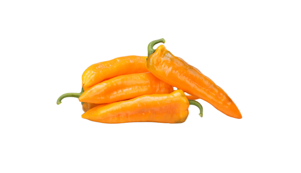 Флауред F1 семена перца ( Yuksel Tohum / )