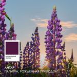 Вся коллекция Антар 15 мл