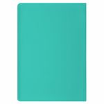 Обложка для паспорта, мягкий полиуретан, "PASSPORT", цвет "тиффани", STAFF, 238404