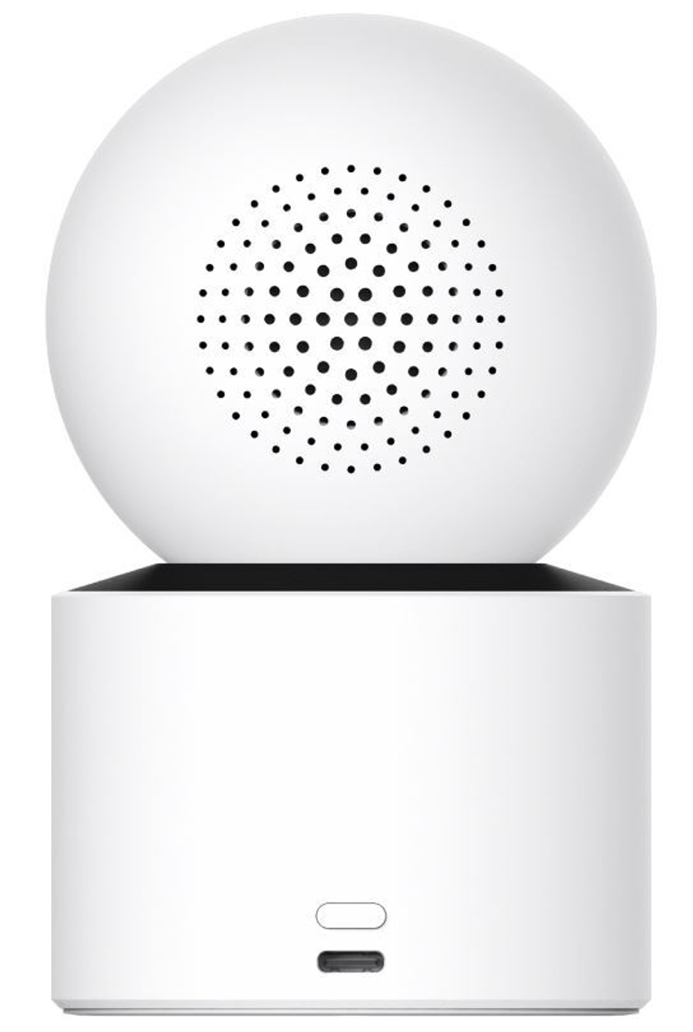IP-камера  Xiaomi Smart Camera C300 Dual EU