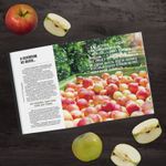 Идеальный самогон. Секреты домашнего приготовления крепких напитков: коньяк, джин, виски