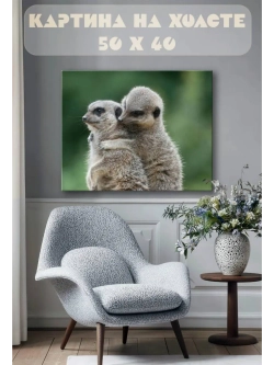 Картина на стену 40 X 50 Сурикаты