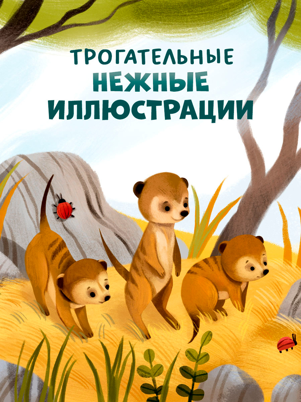 Книжки-картинки. Детский сад для зверят