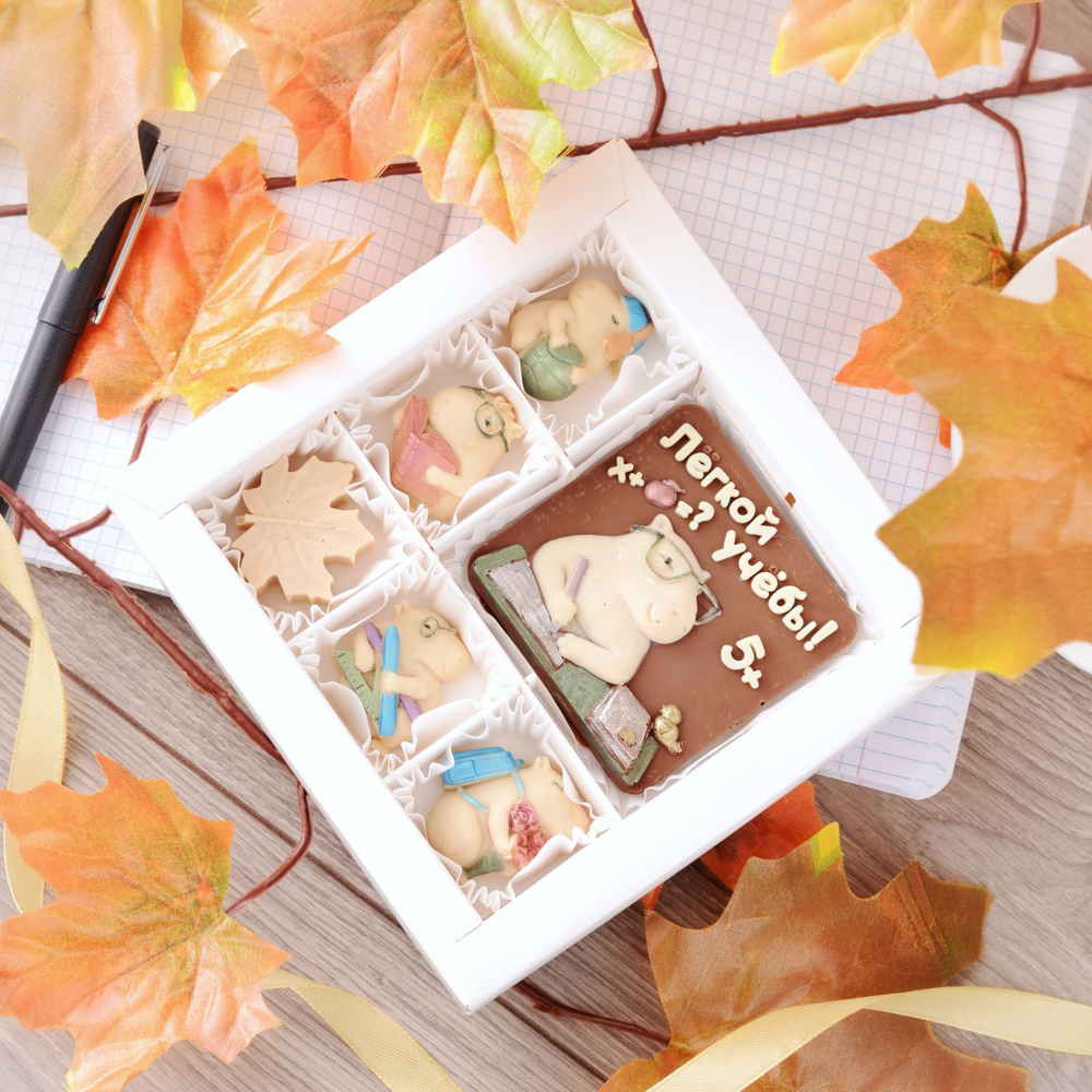 Шоколадный набор "Легкой учебы" #3 / Подарок на 1 сентября