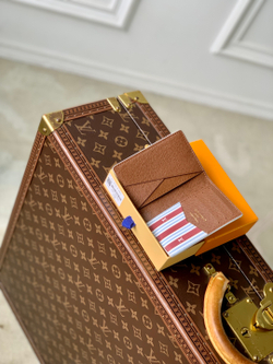 Louis Vuitton Pocket Organizer